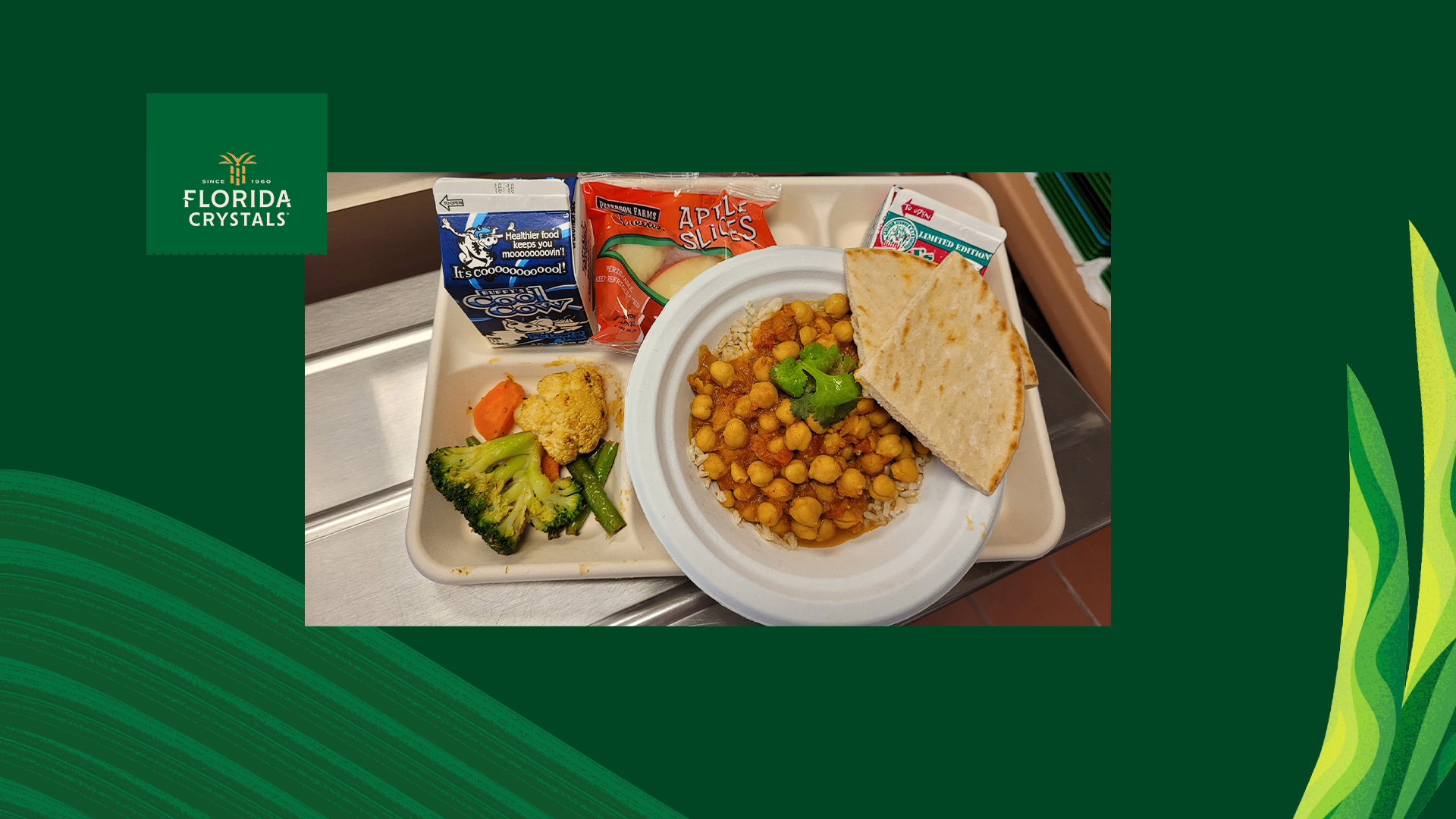 Tellus 5-Compartment Trays