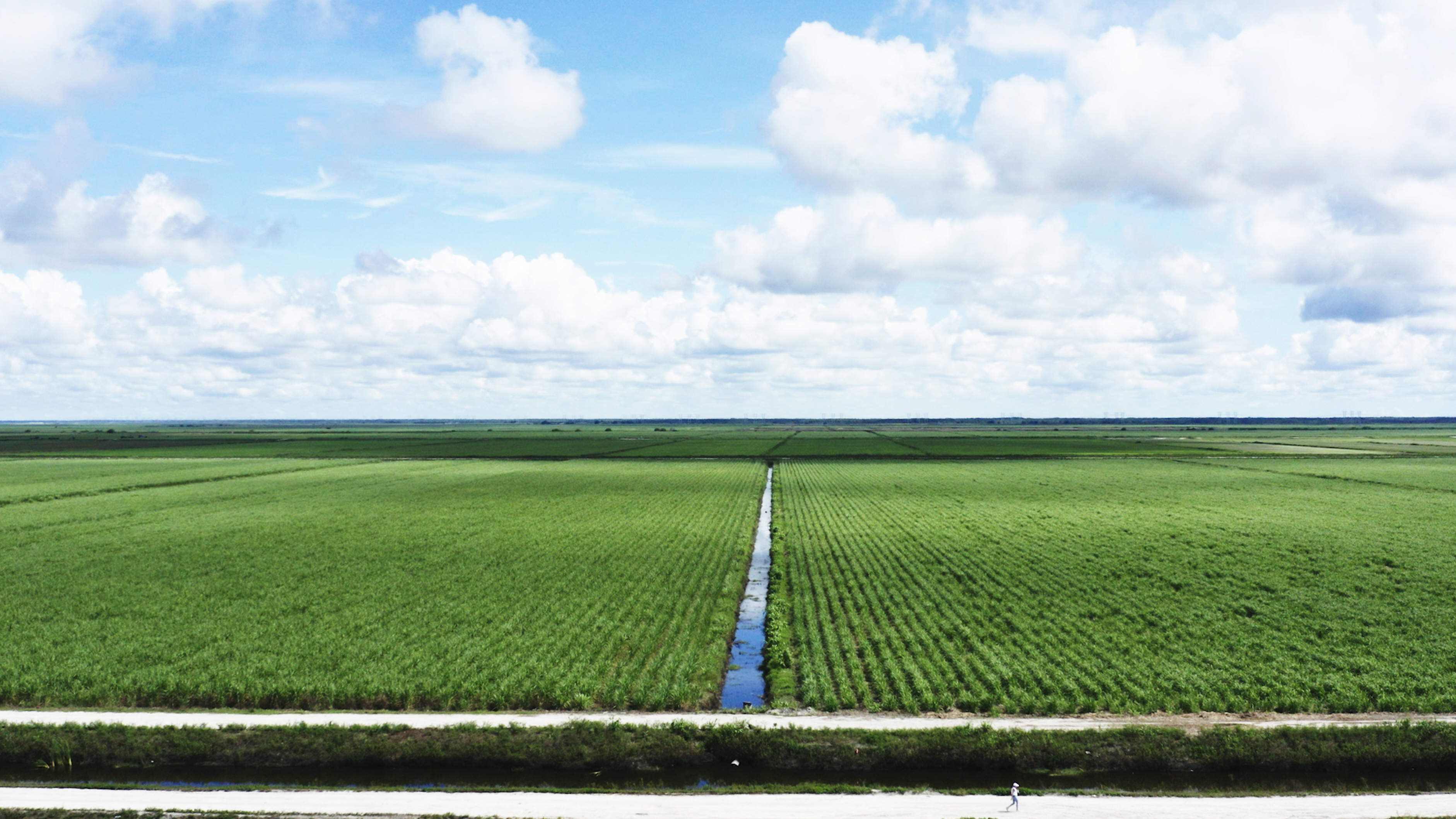 South Florida Farmers Once Again Top Water Quality Standards for the Everglades